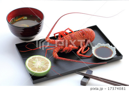 蒸した伊勢海老 蒸した伊勢海老 17374081