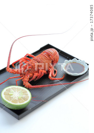 蒸した伊勢海老 蒸した伊勢海老 17374085