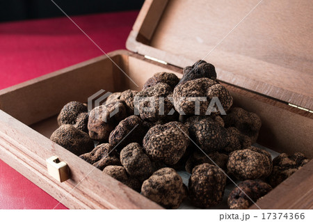 イタリアからの黒トリュフ 17374366