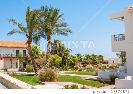 Palm trees and stone pathway in tropical garden Palm trees and stone pathway in tropical garden 17374875