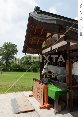 上賀茂神社 神馬 上賀茂神社 神馬 17375145