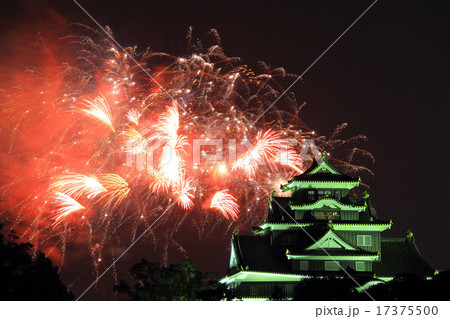 8月岡山 岡山城天守閣ライトアップと納涼花火大会 17375500