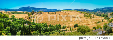 Summer Andalusian Lanscape Near Ronda, Province Of Malaga, Spain 17375601