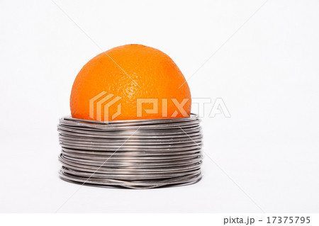 Wired orange 17375795