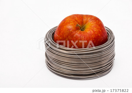 Wired apple 17375822