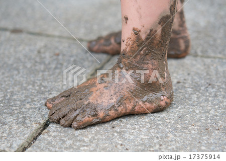 泥んこ遊び 17375914