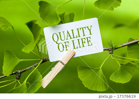 „Quality of Life" in a Ginkgo Tree „Quality of Life" in a Ginkgo Tree 17376619
