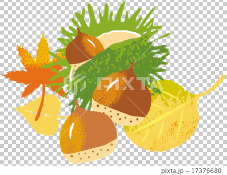 秋葉栗子 秋葉栗子 17376680