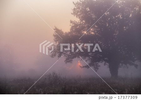 September on the river Neman September on the river Neman 17377309