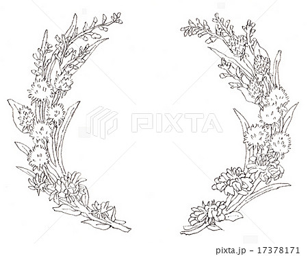 美しい花の画像 綺麗な花 線画 フリー