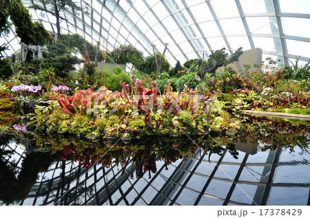 Cloud Forest at Gardens by the Bay in Singapore 17378429