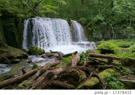 奥入瀬渓流　銚子大滝 17378432