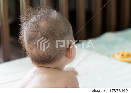 生後4か月の赤ちゃん 17378440