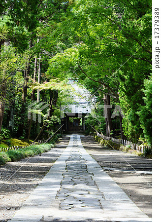 寿福寺参道 寿福寺参道 17379389