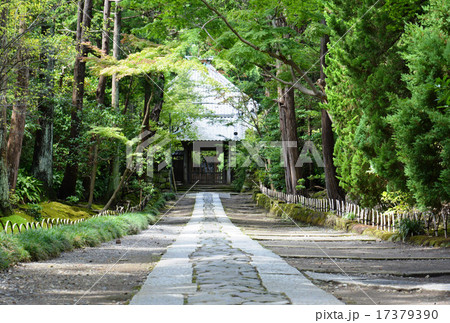 寿福寺参道 寿福寺参道 17379390