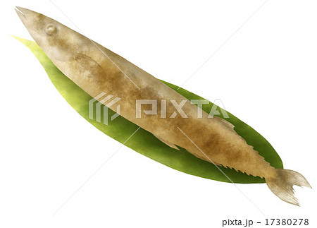 焼きさんま 17380278