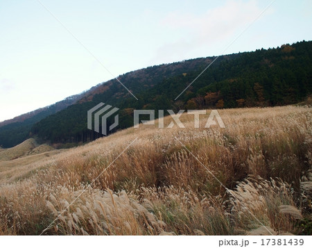箱根の風景(仙石原) 箱根の風景(仙石原) 17381439
