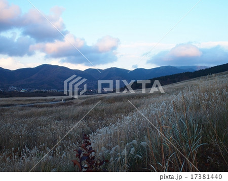 箱根の風景(仙石原) 箱根の風景(仙石原) 17381440
