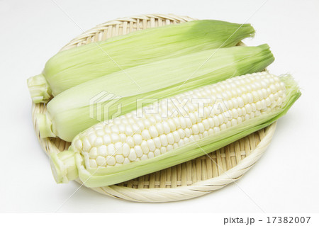 北海道産 白いトウモロコシ 北海道産 白いトウモロコシ 17382007