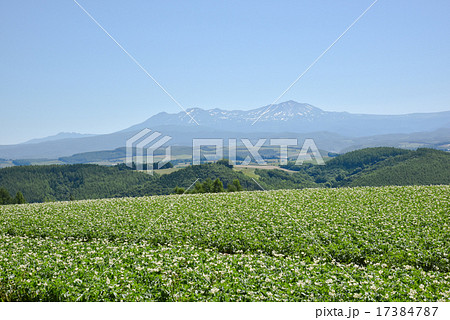 大雪山 17384787