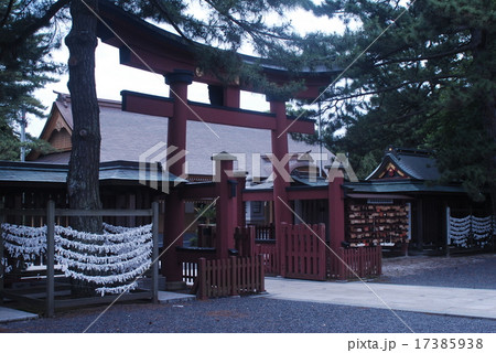 おみくじ 17385938