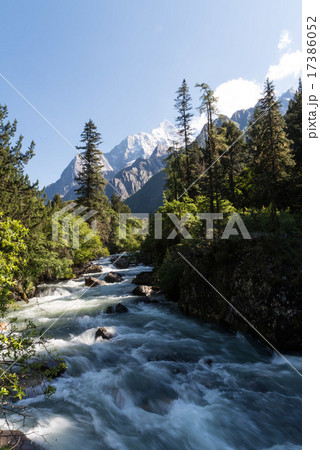 四姑娘山　夏 17386052