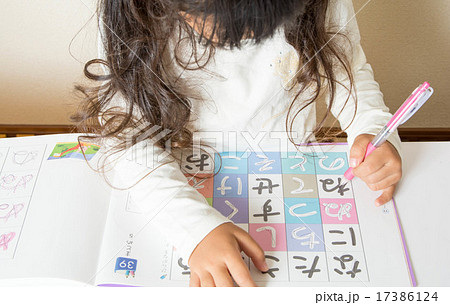 勉強する女の子 17386124