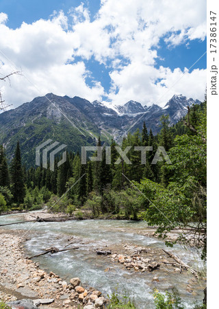 四姑娘山　木螺子 17386147