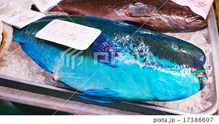 沖縄の魚介類 17386607