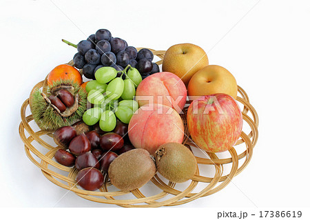秋の味覚 秋の味覚 17386619