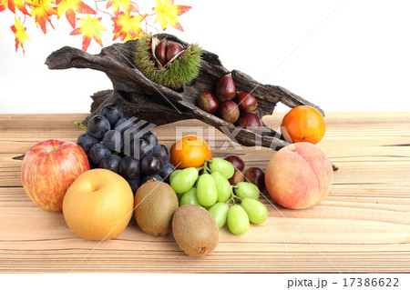 秋の味覚 17386622