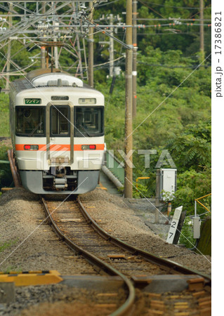佐野川を渡る身延線３１３系電車 17386821