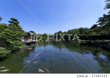 源心庵庭園 17387243