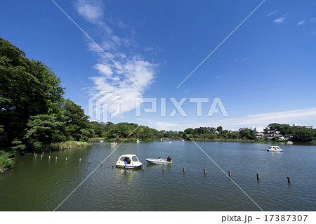 千足池公園 17387307