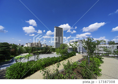 目黒天空庭園 17387308