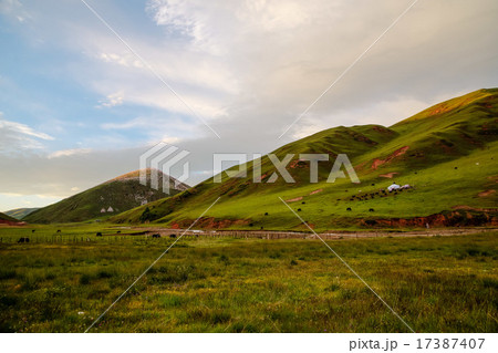 東チベット　草原 17387407