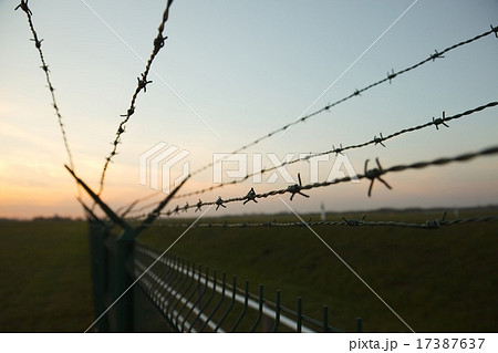 Barbed Wire Barbed Wire 17387637