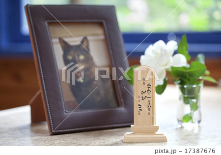 ペットロス 17387676