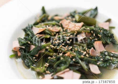 空芯菜炒め 17387850