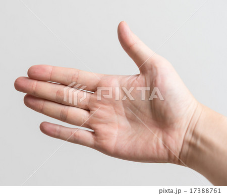 手 17388761