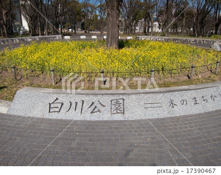 白川公園 白川公園 17390467