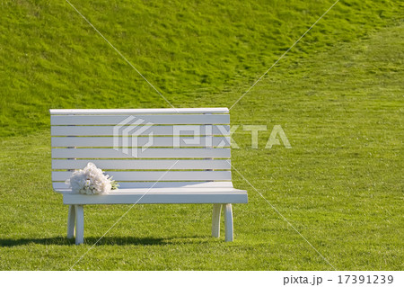 white bench 17391239