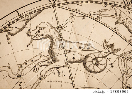 アンティークの天体図 アンティークの天体図 17393965