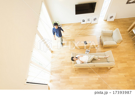 自然光の明るいリビングルーム 17393987