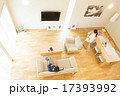 自然光の明るいリビングルーム 17393992