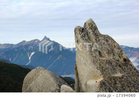 イルカ岩 イルカ岩 17394060