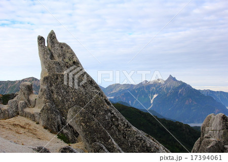 イルカ岩 イルカ岩 17394061