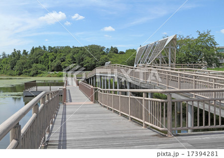 桟橋 桟橋 17394281