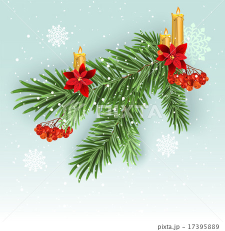 Christmas tree branch decoration. Green lush spruce branch. Fir branches 17395889