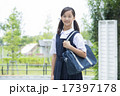 制服姿の中学生の女の子 17397178